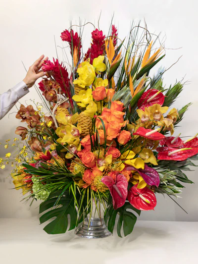 Amazing Colors of Nature